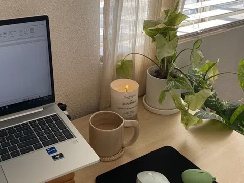 6 loại cây nhỏ xinh nên đặt ở bàn làm việc: Vừa đẹp vừa như “thuốc an thần”, giảm căng thẳng
