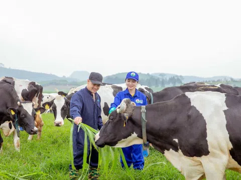 Mộc Châu Milk lội dòng tăng trưởng, đẩy mạnh đầu tư cho tổ hợp thiên đường sữa