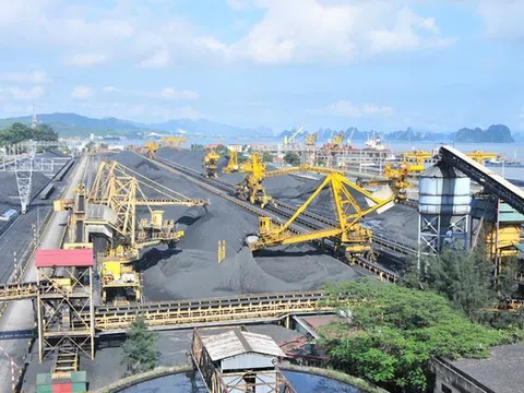 Coalimex làm ăn ra sao khi nhập hàng triệu tấn than mỗi năm?