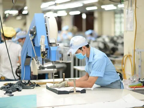 Doanh thu giảm, May Hữu Nghị vẫn đạt 82% kế hoạch lợi nhuận sau nửa đầu năm