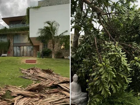30 phút trở tay không kịp, chủ "chết lặng" khi nhìn cảnh trong biệt thự 2000m2 trước bão Wipha