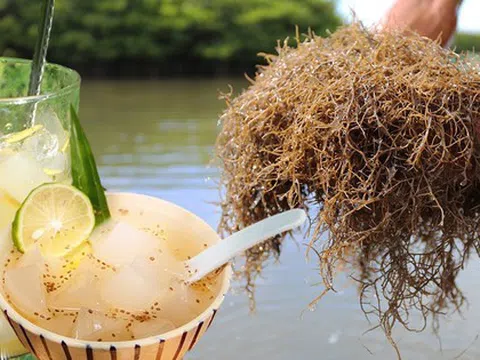 Món đặc sản mát lành ngày hè mang cái tên độc lạ ở Quảng Ngãi, nhiều người xem "Gia đình HAHA" mới biết