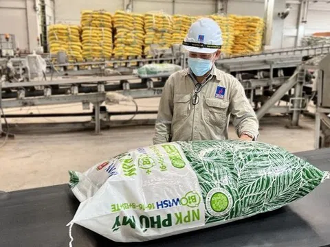 Phân bón và Hóa chất Dầu khí Miền Trung bão lãi tăng mạnh