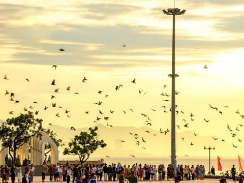 Bất động sản Nha Trang đón sóng di cư