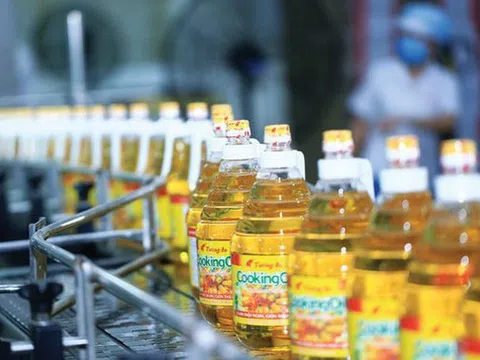 Nợ vay của Vocarimex tăng đột biến