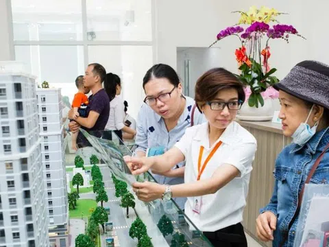 Bảng giá đất áp dụng từ đầu 2026, thị trường có biến động mạnh?