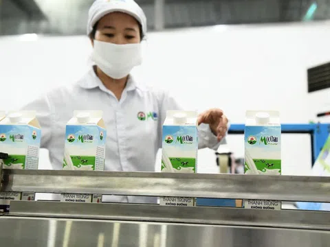 Quý chật vật của ngành sữa và ngoại lệ mang tên Mộc Châu Milk