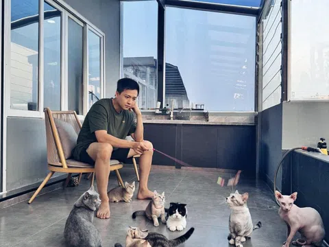 Nam nghệ sĩ sỡ hữu mỗi quận 2 căn nhà: “Phú ông” showbiz Việt, 23 tuổi có con, U40 siêu giàu, chưa vợ
