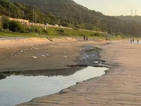 Nguyên nhân ban đầu vụ biển Mũi Né bị “nhuộm đen”