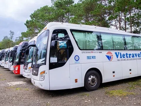 Nữ cổ đông bí ẩn mạnh tay chi tiền gom cổ phiếu Vietravel