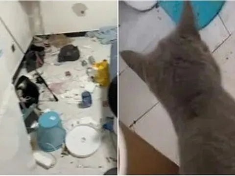 Cặp đôi thuê trọ rời đi, chủ nhà phát hoảng khi mở cửa căn hộ