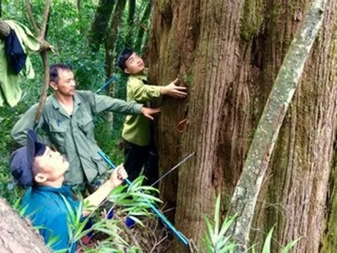 Những điều kỳ thú ở đại ngàn Vũ Quang