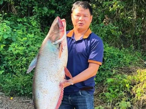 Hàng trăm người đổ về hồ Trị An săn 'kho báu cá khủng', có con nặng 20kg