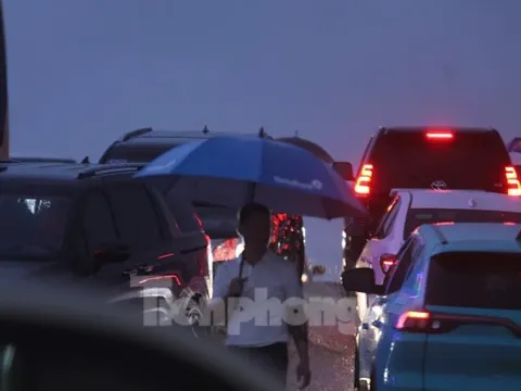 Hàng nghìn người đội mưa, ôtô nối đuôi tới lễ cưới Hoa hậu Đỗ Thị Hà và doanh nhân Viết Vương