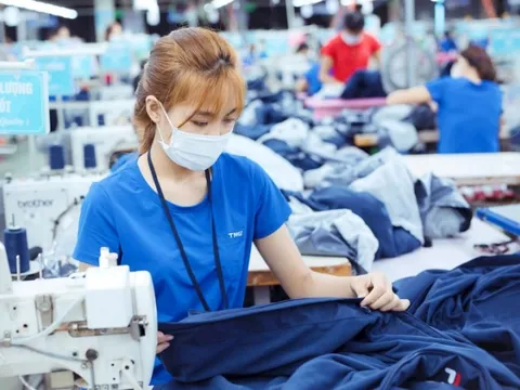 Hé lộ mức thu nhập tiền tỷ của lãnh đạo Dệt may TNG
