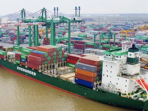 "Ông lớn" logistics Hải Phòng tiếp đà tăng trưởng trong quý III/2025