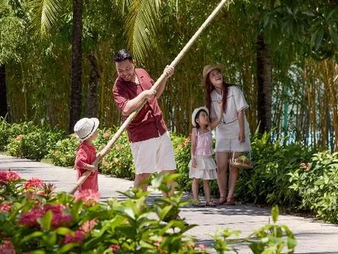 Ốc đảo xoài giữa lòng Đà Nẵng – Kỳ nghỉ gia đình đầy cảm hứng cuối năm