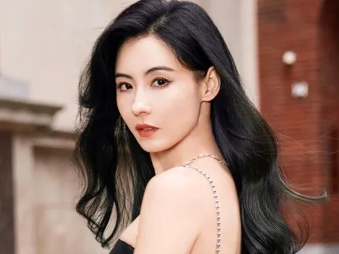 Vạch mặt người “chống lưng” cho Trương Bá Chi