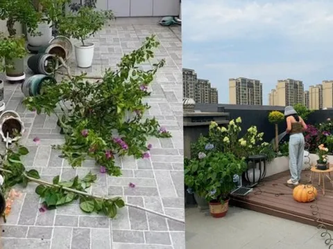 Penthouse – giấc mơ sang chảnh biến thành “địa ngục trên cao”: Tôi đã sống và hối hận!