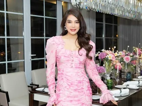 Trước khi bị bắt, diễn viên Trương Ngọc Ánh từng phải bán tài sản để trả nợ