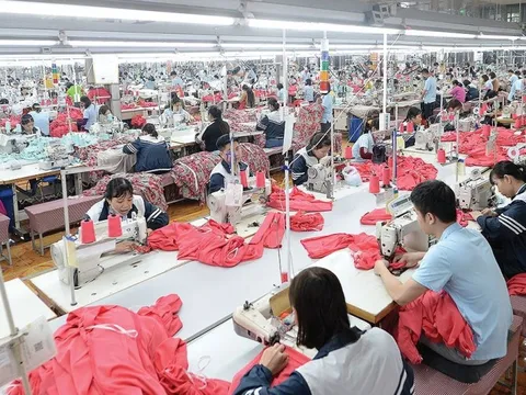 May Sông Hồng báo lãi kỷ lục quý III/2025