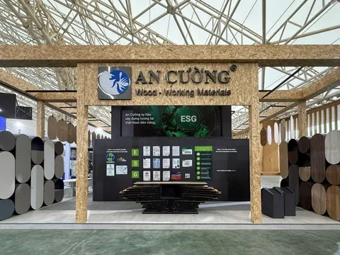 An Cường tiếp tục đón nhận thành quả từ khoản đầu tư chiến lược vào Thắng Lợi