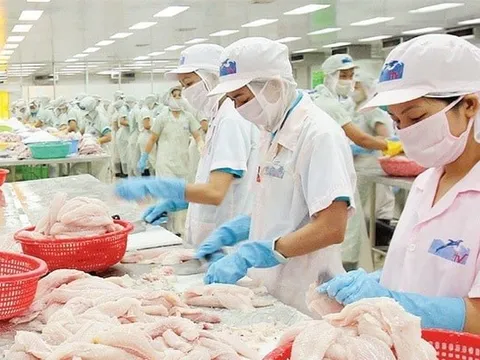 "Vua cá tra" khép lại hành trình trên sàn chứng khoán