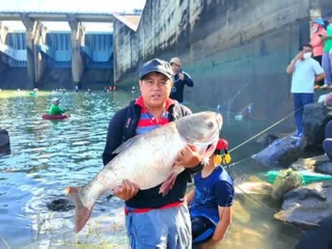 Dân khắp nơi đổ về hồ Trị An bắt cá, có người 'ẵm' cá mè hoa 18kg