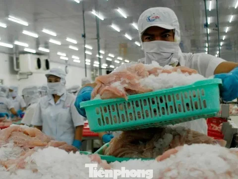 Doanh nghiệp nói về gỡ bỏ chính sách 'sáng đúng, trưa sai nhưng chiều lại đúng'