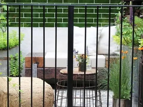 Trồng cây ban công kỵ nhất 5 sai lầm này: Tiếc là nhiều gia chủ chẳng mấy quan tâm