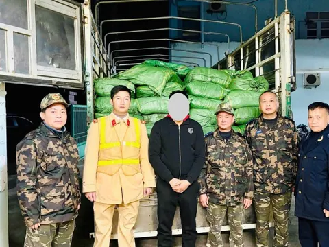 Hải quan chặn đứng thực phẩm đông lạnh và thuốc lá nhập lậu