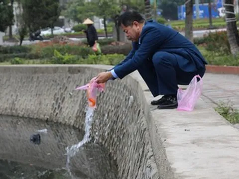 Cá chép 'ngửa bụng' sau khi được thả ở hồ nước mặn ngày ông Công ông Táo