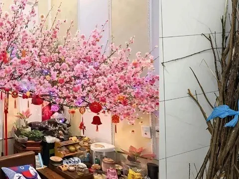 Miền Bắc lúc này: Đào chưa kịp Tết đã bung hết hoa, cả cõi mạng xin nhau tips “hoãn lại cái sự xinh đẹp ấy”