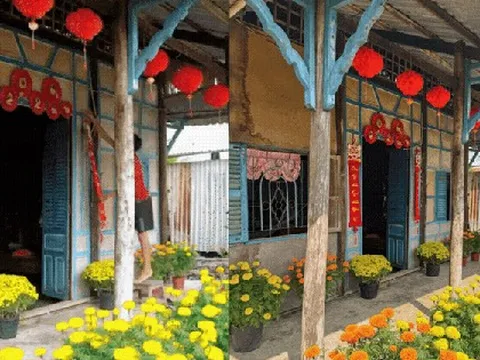Mùng 1 Tết, ghé thăm căn nhà miền Tây với không khí đầu năm ngập sắc xuân: Hoa nở kín hiên, trái trĩu cành