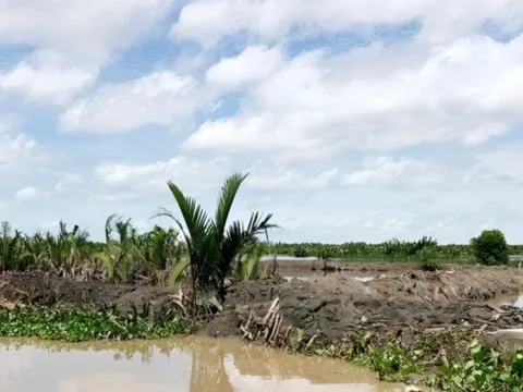 Danh tính hai người đàn ông chiếm gần 29 ha đất công