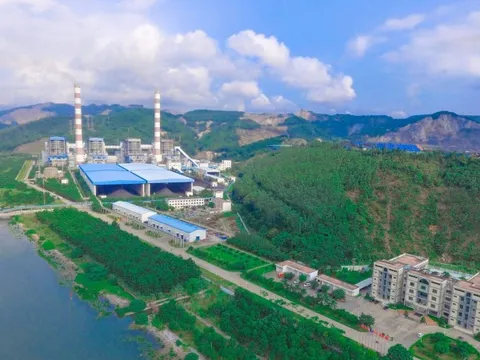 Chủ tịch Nhiệt điện Quảng Ninh lên tiếng về việc Phó Tổng Giám đốc kiêm Thành viên HĐQT bị khởi tố, bắt tạm giam