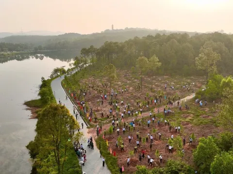 Công viên "ma mị" từng lên báo nước ngoài thay đổi diện mạo mới