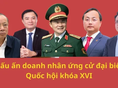 Từ Chủ tịch 71 tuổi đến Phó TGĐ 32 tuổi: Dấu ấn doanh nhân ứng cử đại biểu Quốc hội khóa XVI