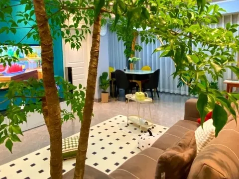 Không phải ngẫu nhiên mà 9/10 nhà khá giả đều đặt thứ này ở phòng khách: Vừa đẹp sang, vừa mang vượng khí cho gia đình