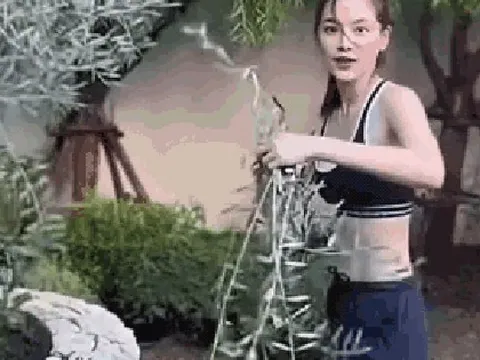 Đại mỹ nhân ở dinh thự 55 tỷ, mê “trồng rau nuôi cá”: Vibe chữa lành mạnh mẽ tràn màn hình