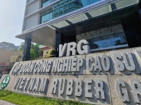 Thanh tra Chính phủ chỉ điểm loạt vi phạm tài chính, đầu tư tại Tập đoàn Cao su Việt Nam