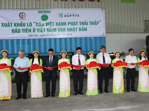 Giữ vững nhịp xuất khẩu gạo bằng chiến lược chất lượng cao