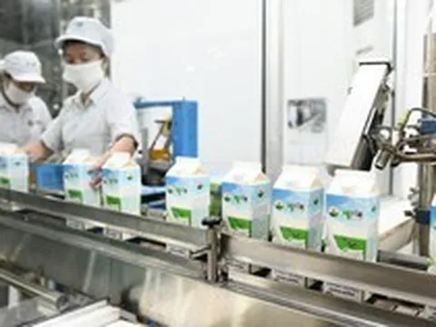 An Phước, Mộc Châu và những cú "vạ lây" vì trùng tên doanh nghiệp