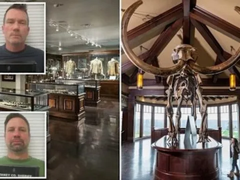 Đùa nghịch, 2 người đàn ông U50 làm vỡ ngà voi trị giá 5,2 tỷ đồng