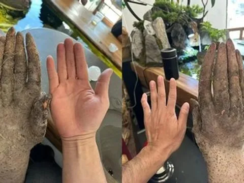 Lão nông đào được củ khoai khủng, hình dáng lạ, khách trả hơn 30 triệu không bán