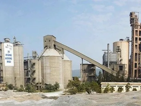 Vicem Hoàng Mai đặt mục tiêu lãi tăng 17% năm 2026 dù áp lực ngành gia tăng