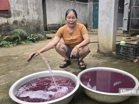 Nước giếng khoan chuyển màu tím, bốc mùi hôi tanh: Đã tìm ra "thủ phạm"