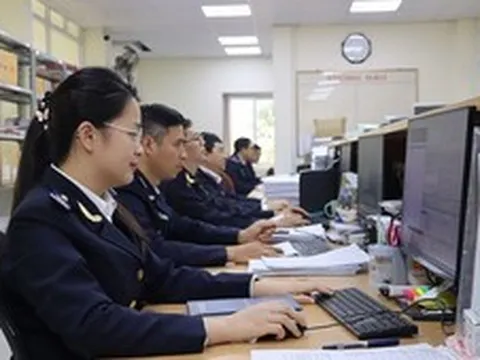 Hải quan ra công văn 'khẩn', bảo đảm thông suốt xuất nhập khẩu khi hệ thống tạm dừng