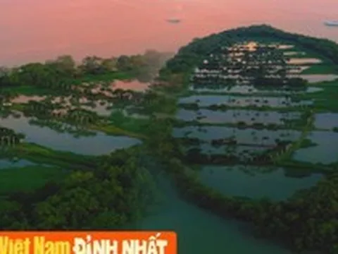 Sự thật về dải cù lao xanh mướt như đồ họa AI tại Cần Thơ