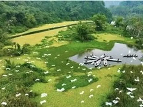 Sự thực Vườn chim Thung Nham được chuyển nhượng với giá hàng triệu USD